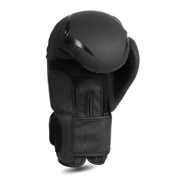 Боксерські рукавички DBX BUSHIDO Raptor 12oz, Origin Series, матово-чорні з глянцевим візерунком