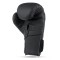 Рукавички для боксу DBX Bushido Hammer Black 12oz