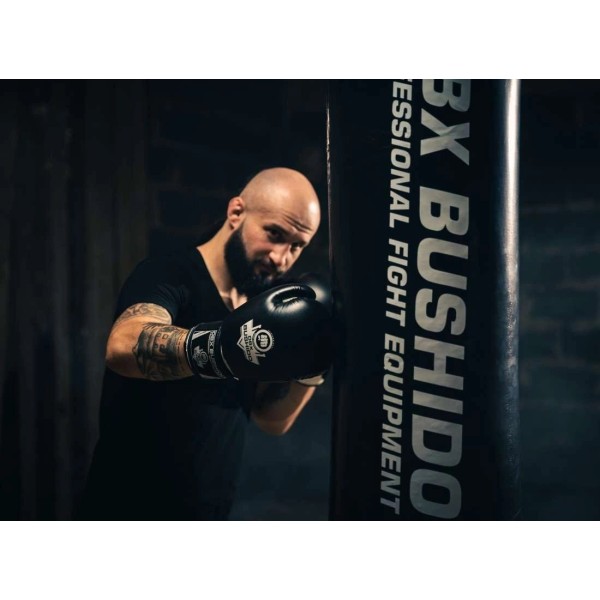 Боксерські рукавички DBX BUSHIDO Classic White Origin Series 10oz