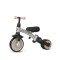 Триколісний велосипед Qplay Stager 3w1 Silver