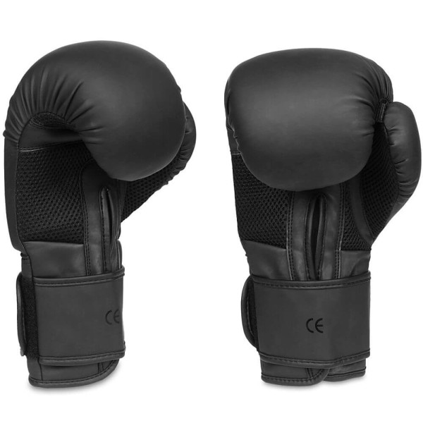 Боксерські рукавички DBX BUSHIDO Black Master Valor Series 10oz
