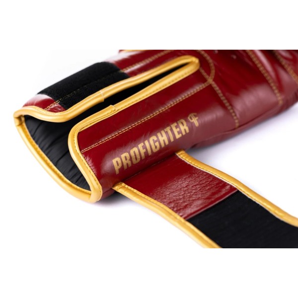 Боксерські рукавички DBX BUSHIDO ProFighter Cherry