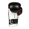 Боксерські рукавички DBX BUSHIDO Valor Series Phantom White 12oz