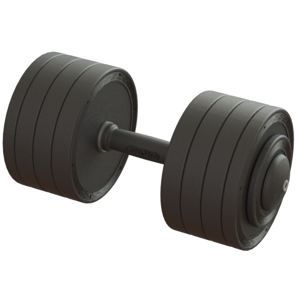 Гантель професійна 36 кг BruStyle TC126-36PL