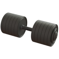 Гантель професійна 56 кг BruStyle TC126-56PL