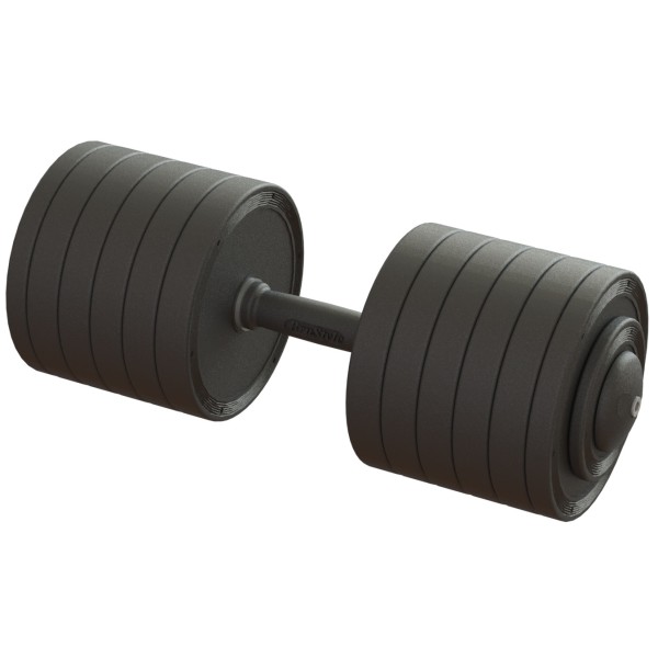 Гантель професійна 56 кг BruStyle TC126-56PL