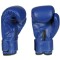 Боксерські рукавички DBX BUSHIDO 4Fighter Blue 6oz, сині