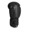 Боксерські рукавички DBX BUSHIDO Raptor Origin Series 16oz