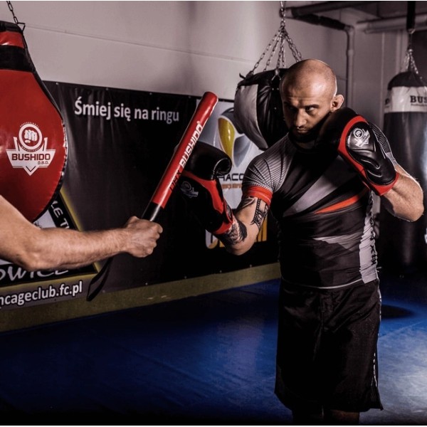 Рукавички для боксу DBX BUSHIDO Blaze Red Legacy Series 12oz