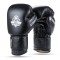 Боксерські рукавички DBX Bushido Striker Legacy Series 14oz