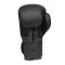 Боксерські рукавички DBX BUSHIDO Black Master Valor Series 12oz