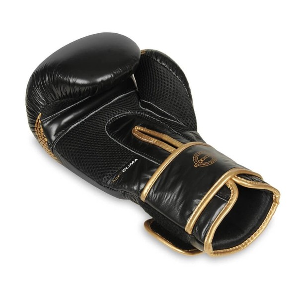 Рукавички для боксу DBX BUSHIDO Aureos Valor Series 12oz