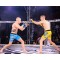 Рукавички MMA для спарингу DBX BUSHIDO Undefeated Valor Series L/XL