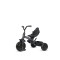 Триколісний велосипед Qplay ELITE PLATINUM Platinum Grey