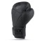 Боксерські рукавички DBX BUSHIDO Hammer Black Valor Series 10oz