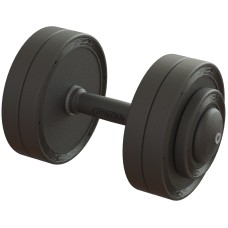 Гантель професійна 22 кг BruStyle TC126-22PL
