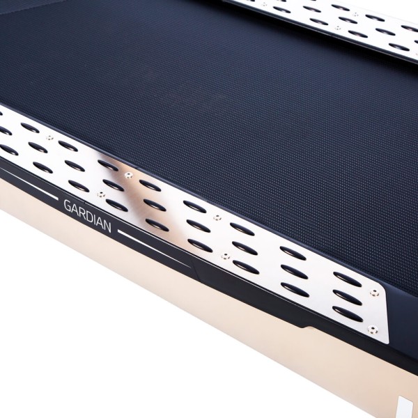 Професійна бігова доріжка inSPORTline Gardian G12