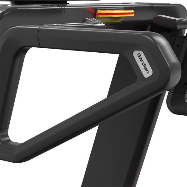 Професійна бігова доріжка inSPORTline Gardian G10