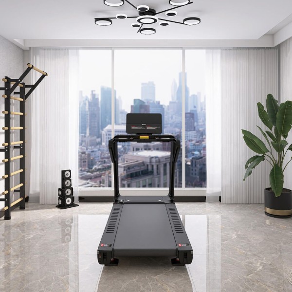 Професійна бігова доріжка inSPORTline Gardian G10