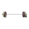 Комплект штанги Eleiko Performance NxG 185 кг жін, кольоровий 3061135