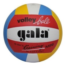 М'яч волейбольний Gala Training BV4041SB*E