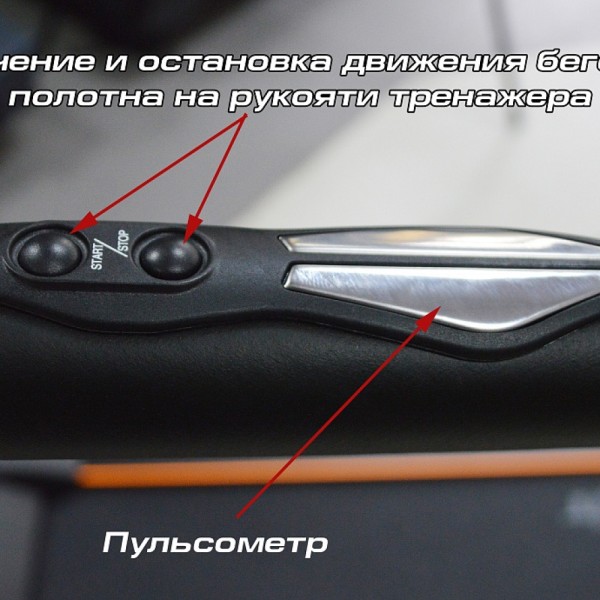 Бігова доріжка InterFit TS2 K240N