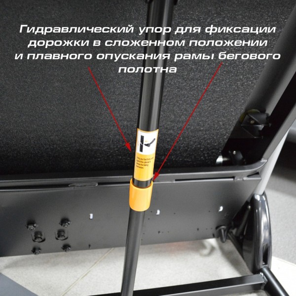 Бігова доріжка InterFit TS2 K240N