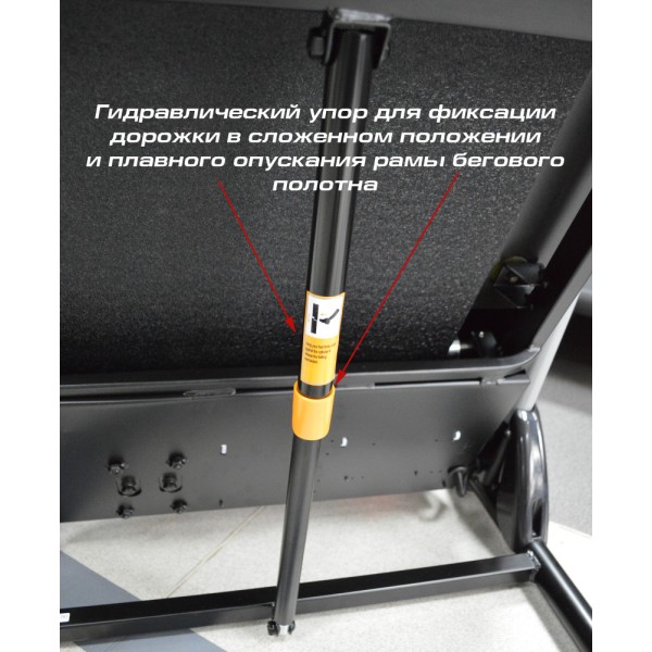 Бігова доріжка InterFit TS4 K340F