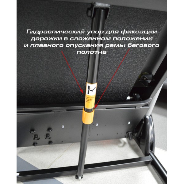 Бігова доріжка InterFit TS4 K340F
