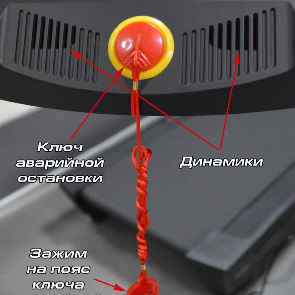 Бігова доріжка InterFit TS4 K340F