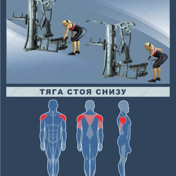 Силова фітнес-станція InterAtletika Екстра ST034-B