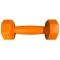Гантелі InterAtletika ST560.1-1 1 кг