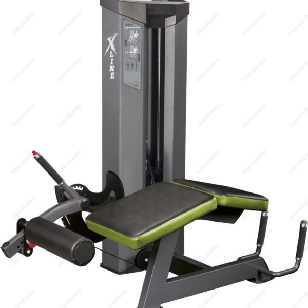 Згинач стегна (лежачи) Xline XR108.1