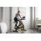 Спінбайк ProForm Tour de France CBC PFEX39420-INT