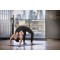 Килимок для йоги Reebok RAYG-11030BR 4 мм синій