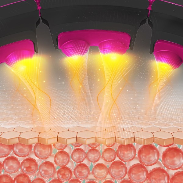 Хула-хуп магнітний з тягарцем та лічильником HMS Set HHM16, чорно-червоний 