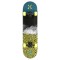 Скейтборд Nils Extreme CR3108SA Brain