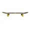 Скейтборд Nils Extreme CR3108SA Color Worms 1