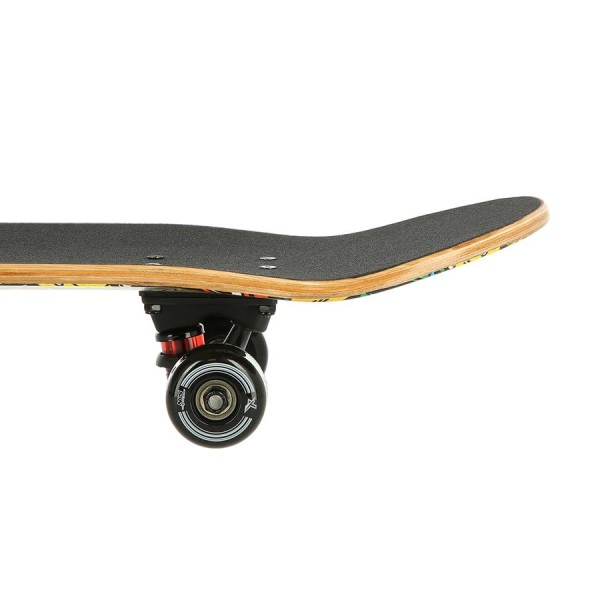 Скейтборд Nils Extreme CR3108SA Color Worms 2