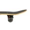 Скейтборд Nils Extreme CR3108SA Mountain