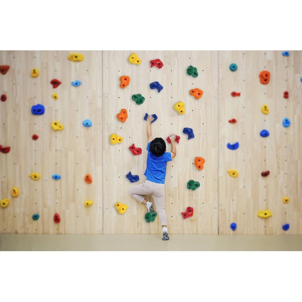 Набір каменів для скелелазіння Fizio 10 шт