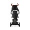 Триколісний велосипед Qplay Rito Deluxe Rubber чорний