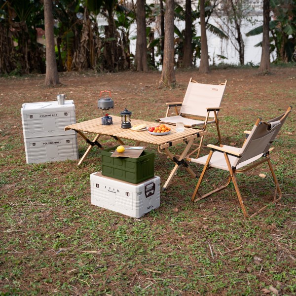 Складаний ящик-стіл Nils NCB4007, 9 л, зелений