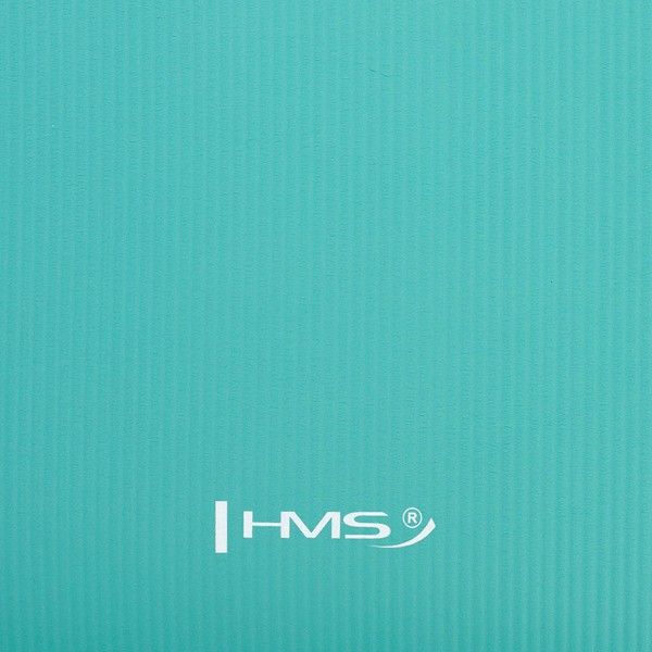 Килимок для йоги 183х61х1.5см HMS YM04, м'ятний