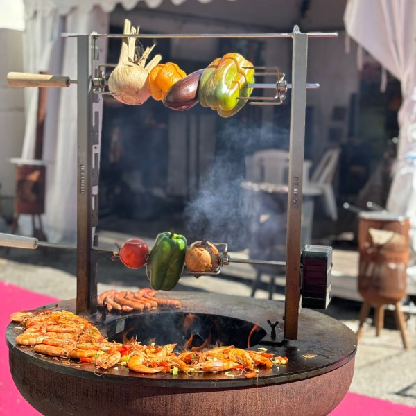 Мотор для рожна BonFeu Rotisserie