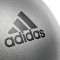 М’яч гімнастичний 65 см Adidas ADBL-14246GR сірий