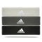 Набір еспандерів Adidas ADTB-10710