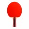 Ракетка Cornilleau Sport 300