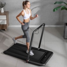 Бігова доріжка для ходьби Flow Fitness DTM 200i