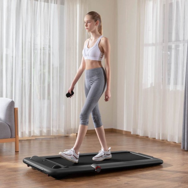 Бігова доріжка для ходьби Flow Fitness DTM 200i